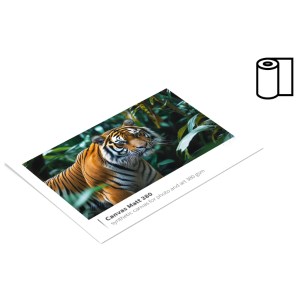 Fomei Canvas Matt 380